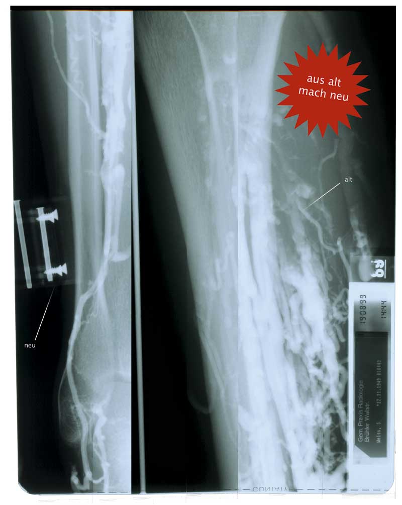 herrweiss.org herrweiss.org